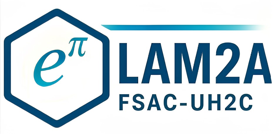 Laboratory of Mathematical Analysis, Algebra and Applications